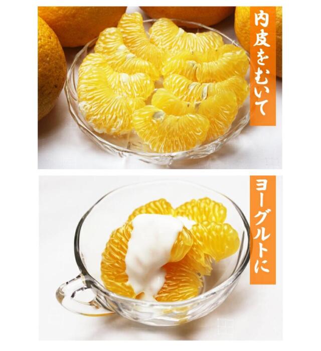 訳あり甘夏5」【送料無料】【産地直送】愛媛西宇和産甘夏 訳あり5kg