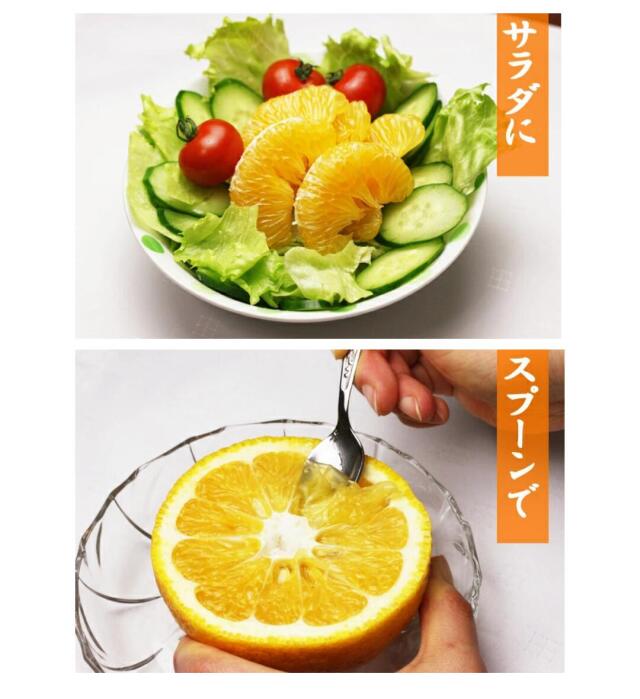 訳あり甘夏5」【送料無料】【産地直送】愛媛西宇和産甘夏 訳あり5kg