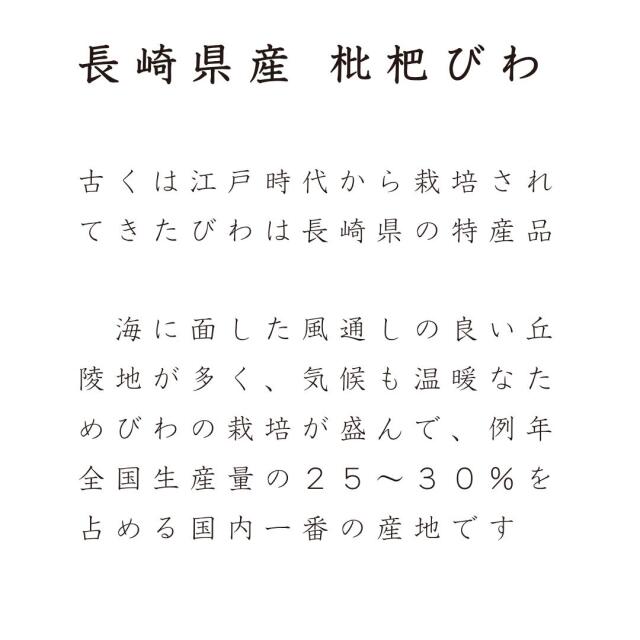 長崎産びわ