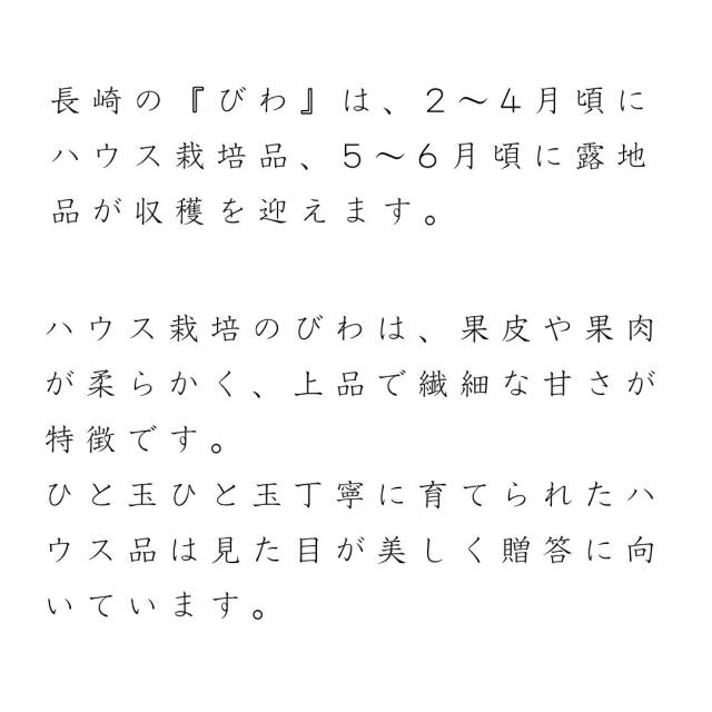 長崎産びわ