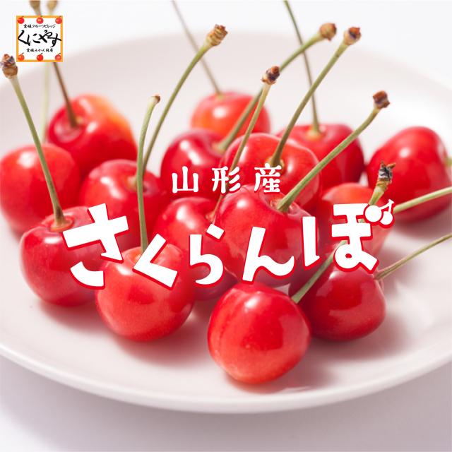 ＼新商品！期間限定販売／【送料無料】【産地直送】山形産 さくらんぼ 佐藤錦 大将錦 紅秀峰「山形産 さくらんぼ」