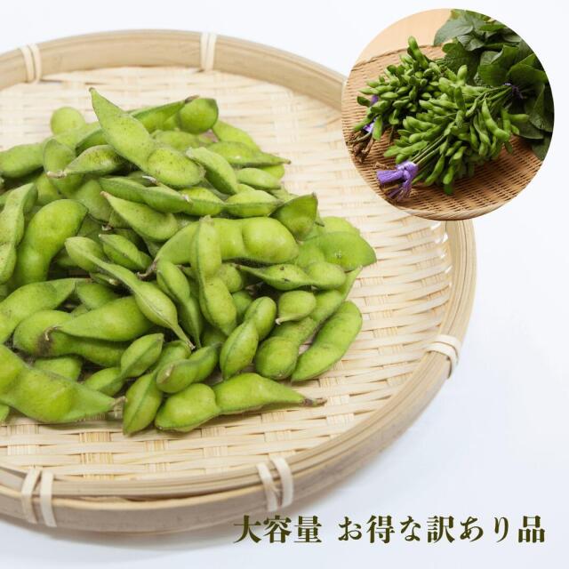 枝豆さま　専用 枝豆の王様「だだちゃ豆」がご自宅で味わえる！山形県より産地直送でお