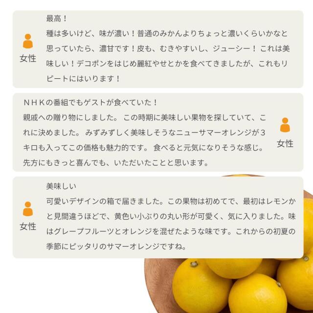 まずは少量から試したい方におすすめ！愛媛西宇和産のニューサマー