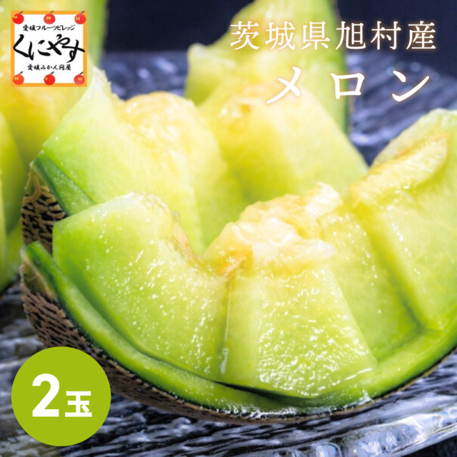 旭村メロン