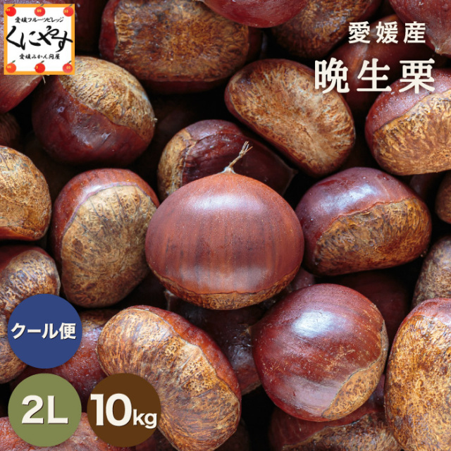 晩生栗