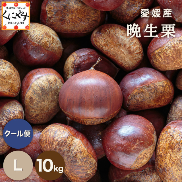 晩生栗