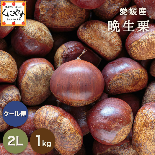 晩生栗