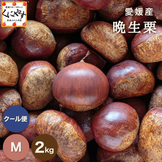 ナッツ様　生栗　3キロ　9月中旬 9月下旬〜10月上旬 小布施栗 3キロ : Su-eat Farm - 通販