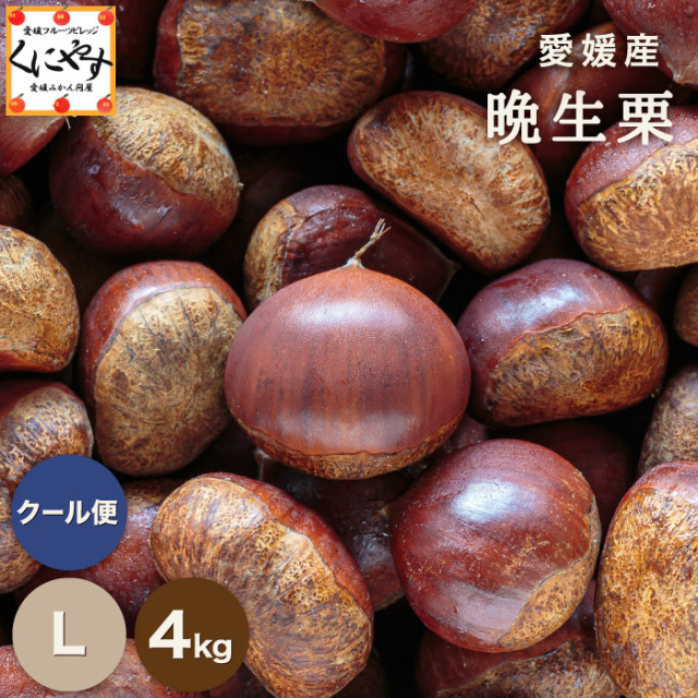 晩生栗