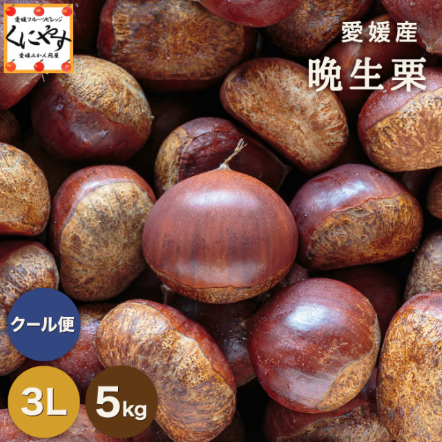 晩生栗
