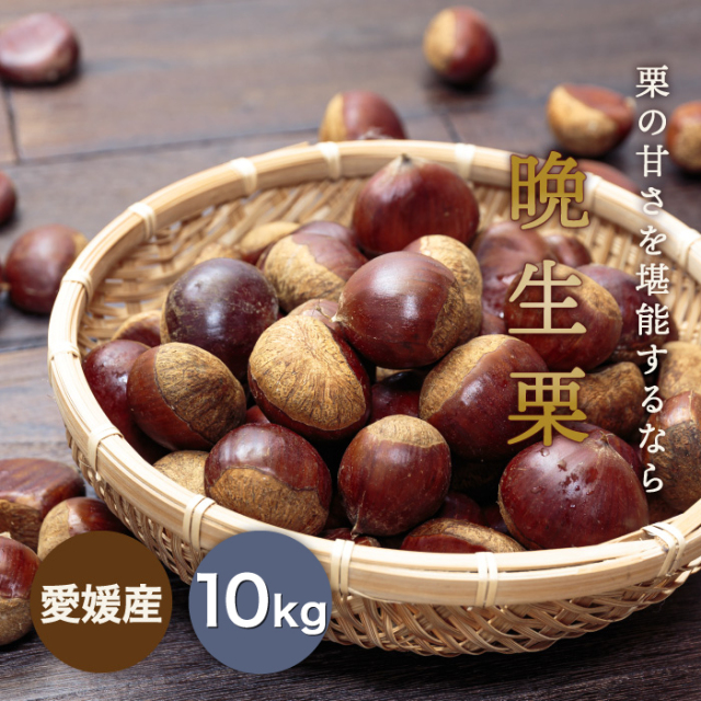 晩生栗