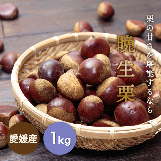 晩生栗