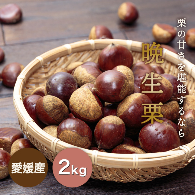 晩生栗