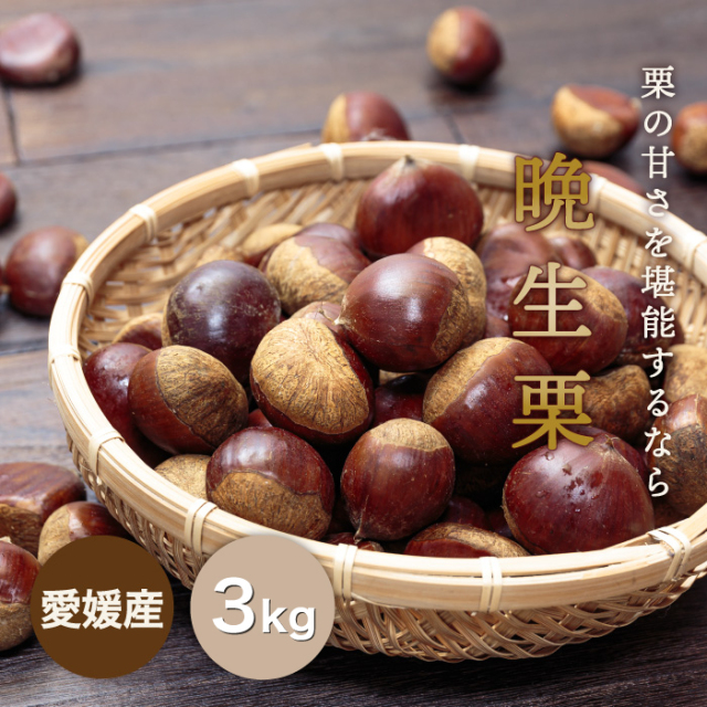 晩生栗