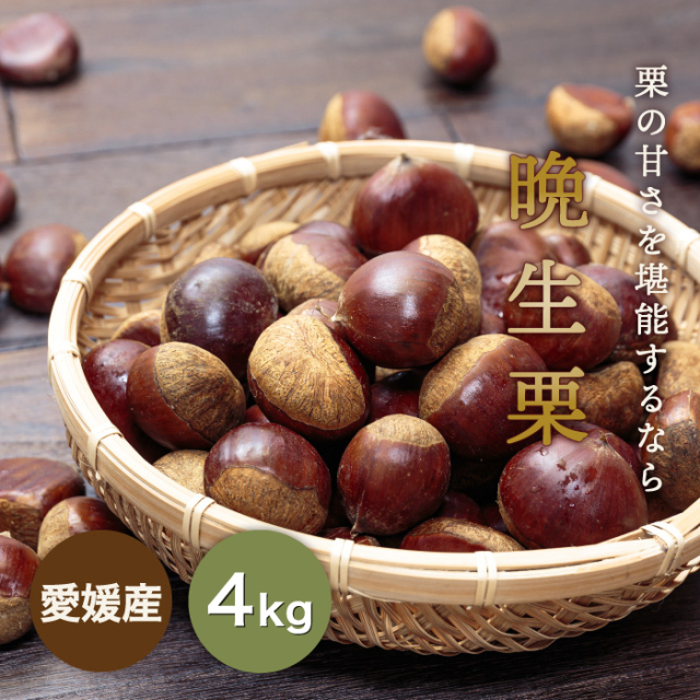 晩生栗