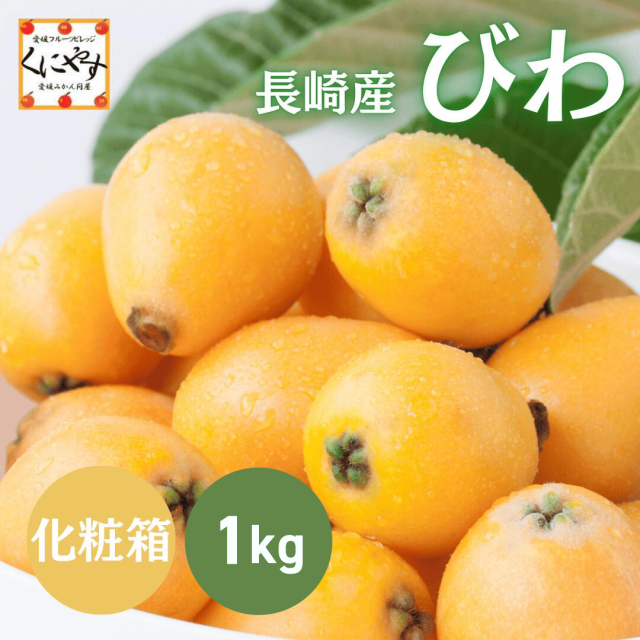 長崎産びわ