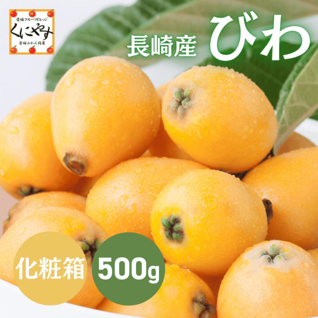 長崎産びわ