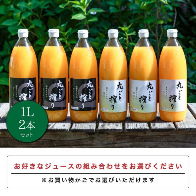 送料無料】国安さんちのストレートジュース 贈答品 愛媛柑橘果汁