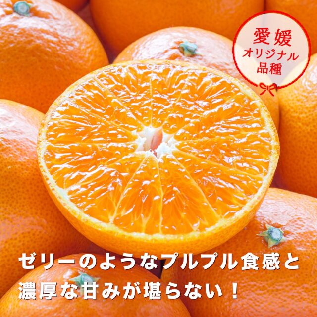 愛媛プリンセス