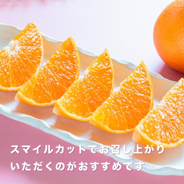 愛媛プリンセス