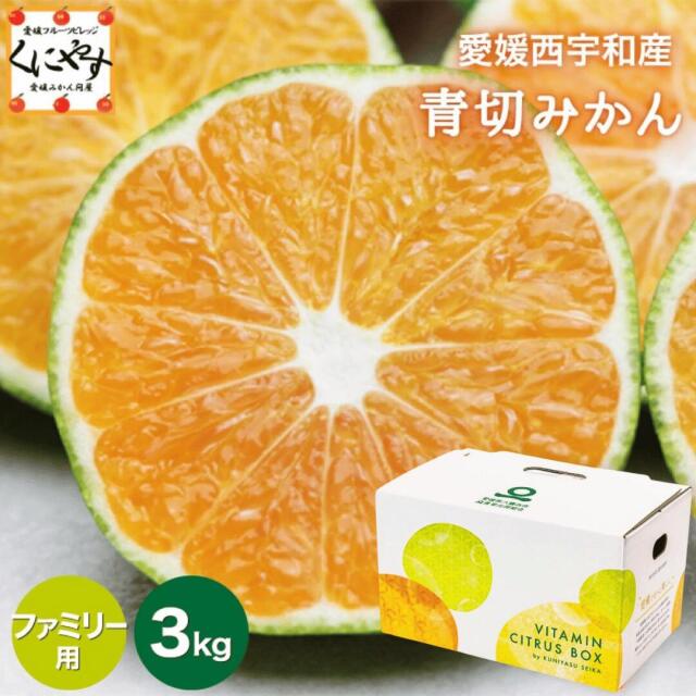 「ファミリー青切みかん3」【送料無料】【ギフト】【産地直送】愛媛西宇和産青切みかん ファミリー用 3kg