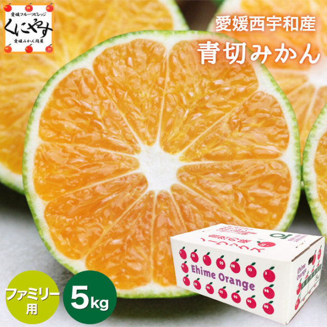 「ファミリー青切みかん5」【送料無料】【ギフト】【産地直送】愛媛西宇和産青切みかん ファミリー用 5kg