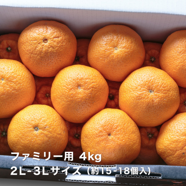 ファミリーデコ4kgイメージ