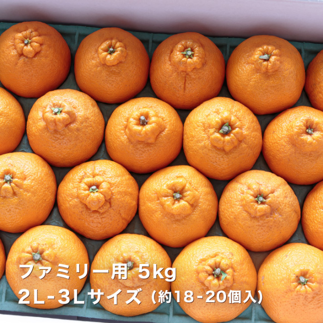 ファミリーデコ5kgイメージ