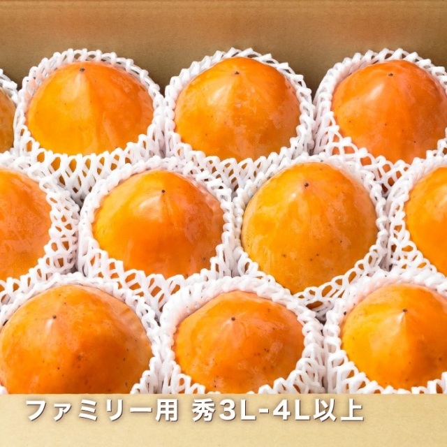 ファミリー富士柿イメージ