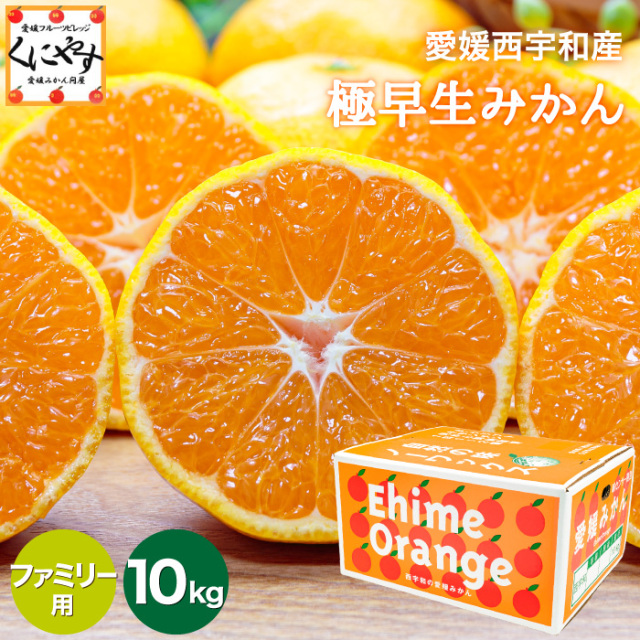 「ファミリー極早生みかん10」【1～5営業日以内当店発送】【送料無料】【産地直送】【ギフト】ファミリー用 愛媛西宇和産 極早生みかん 10kg 