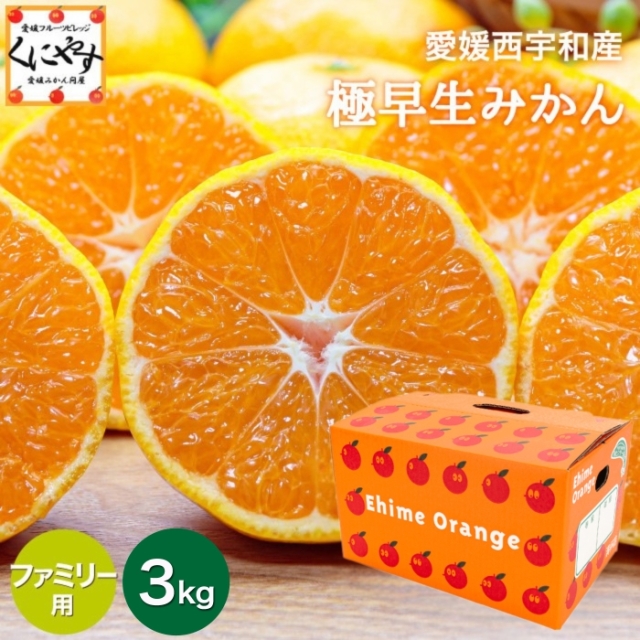 「ファミリー極早生みかん3」【送料無料】【産地直送】【ギフト】ファミリー用 愛媛西宇和産 極早生みかん3kg