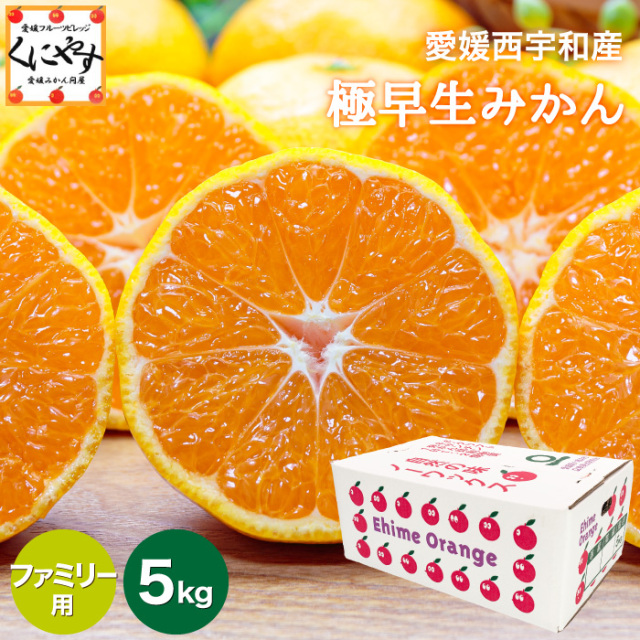 「ファミリー極早生みかん5」【1～5営業日以内当店発送】【送料無料】【産地直送】【ギフト】ファミリー用 愛媛西宇和産 極早生みかん5kg