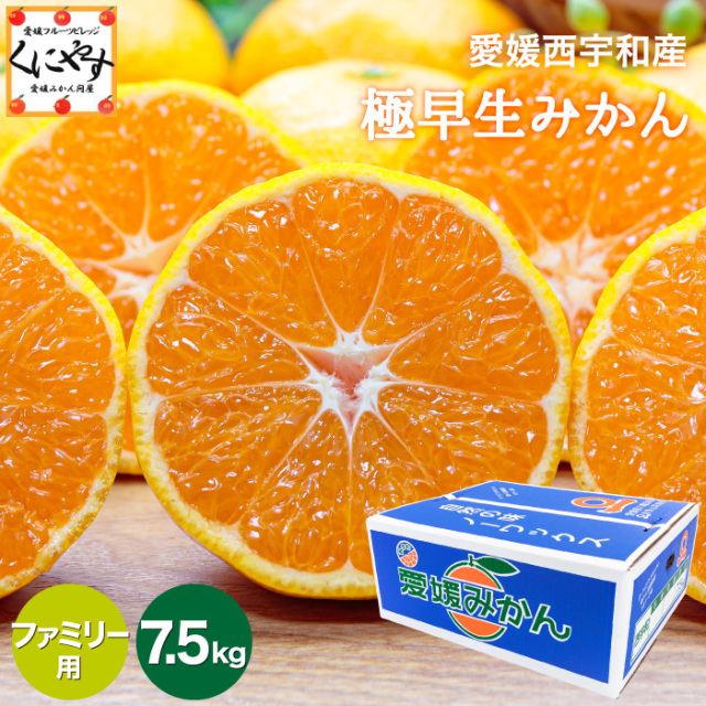 「ファミリー極早生みかん7.5」【1～5営業日以内当店発送】【送料無料】【産地直送】【ギフト】ファミリー用 愛媛西宇和産 極早生みかん 7.5kg  