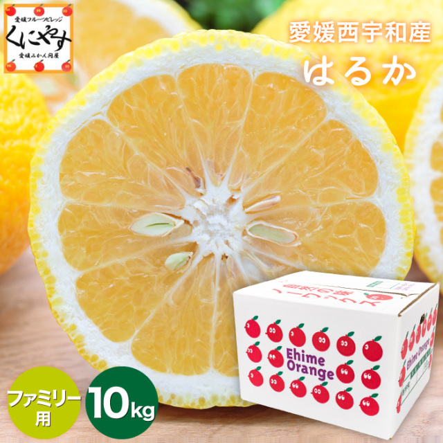 ファミリーはるか10kg