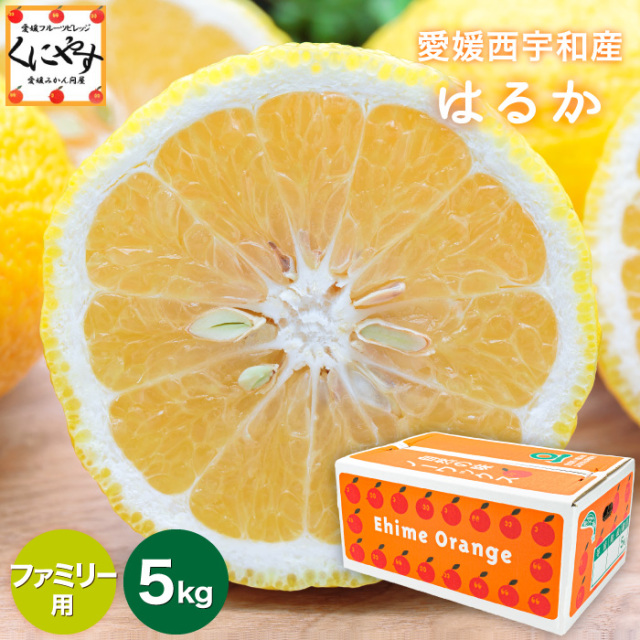 ファミリーはるか5kg