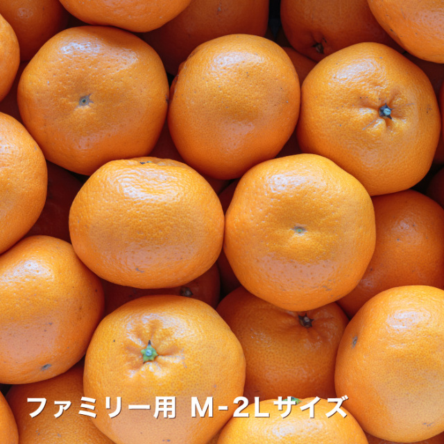 ファミリーはるみイメージ