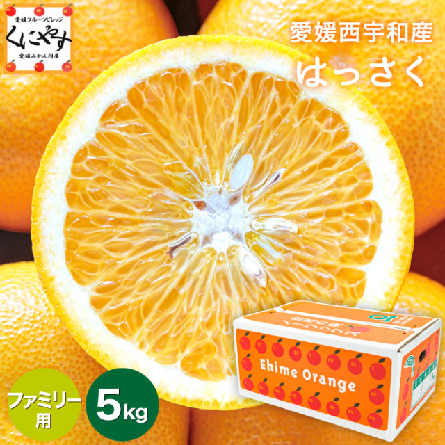 「ファミリーはっさく5」【送料無料】【ギフト】愛媛西宇和産はっさく(八朔) ファミリー用5kg/見た目綺麗なため贈答OK