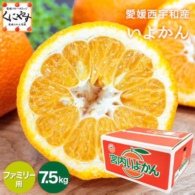 甘みと酸味の絶妙なバランスが特徴のいよかんは、果汁たっぷりさわやか