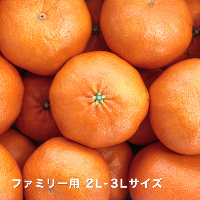 ファミリーイメージ