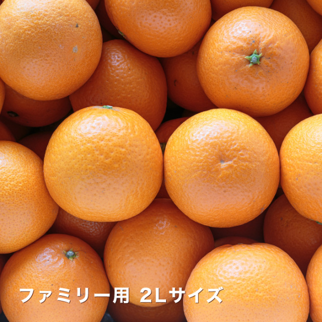 ファミリー清見イメージ