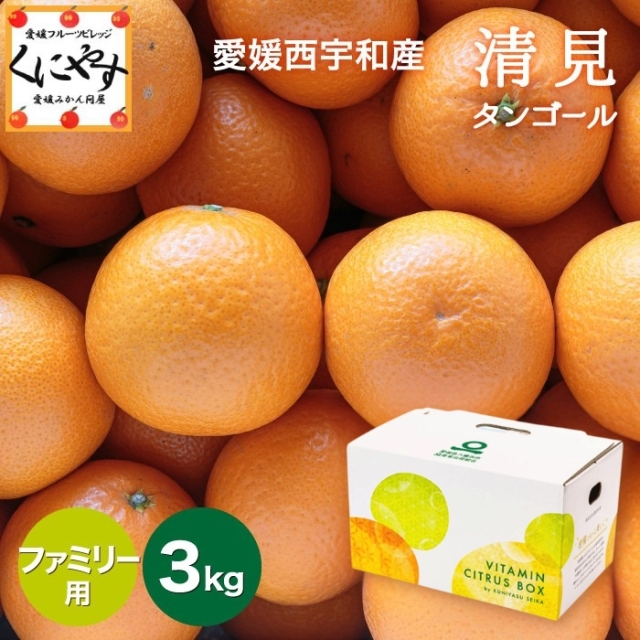 ファミリー品 愛媛フルーツビレッジくにやす