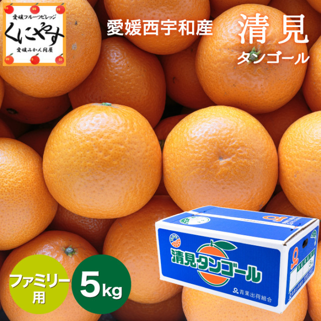 ファミリー清見5kg