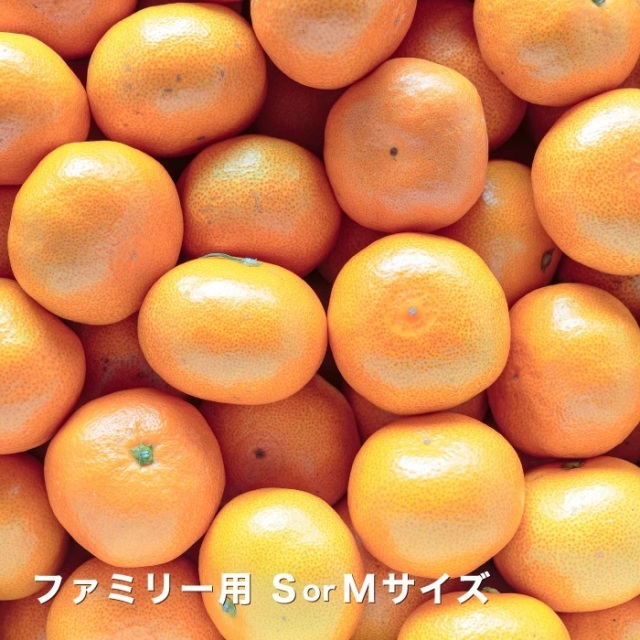 ファミリーみかんイメージ
