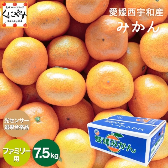ファミリーみかん7.5kg