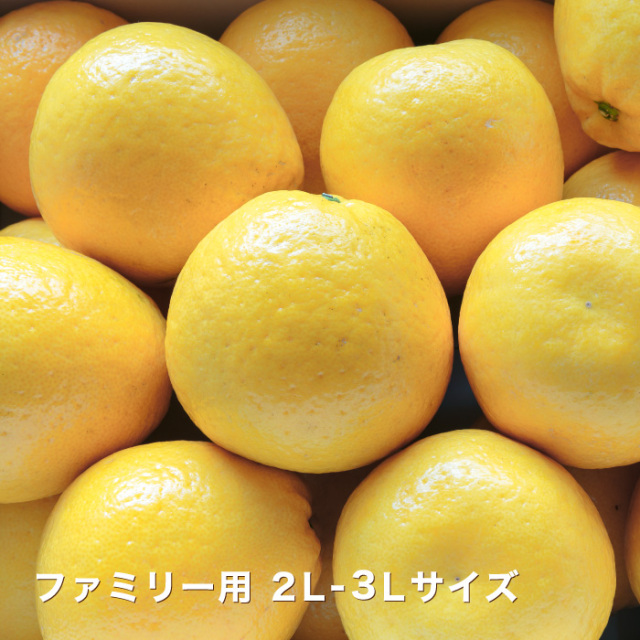 商品イメージ