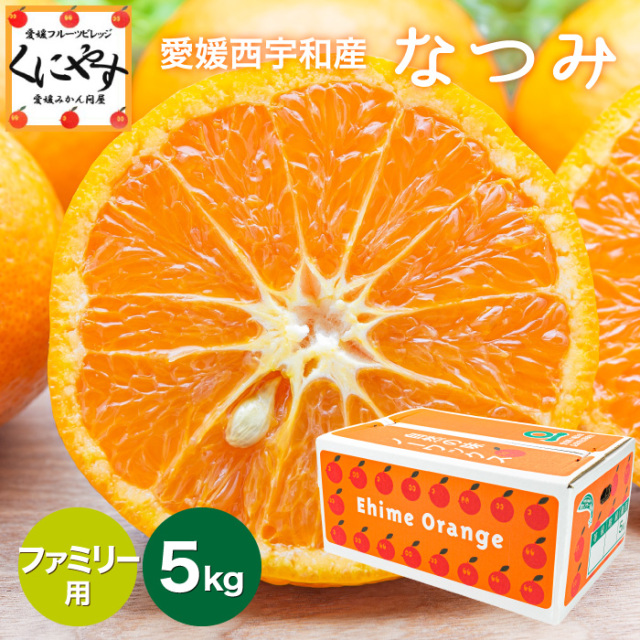 創業85年 愛媛みかん の老舗／【送料無料】【ギフト】【産地直送】愛媛