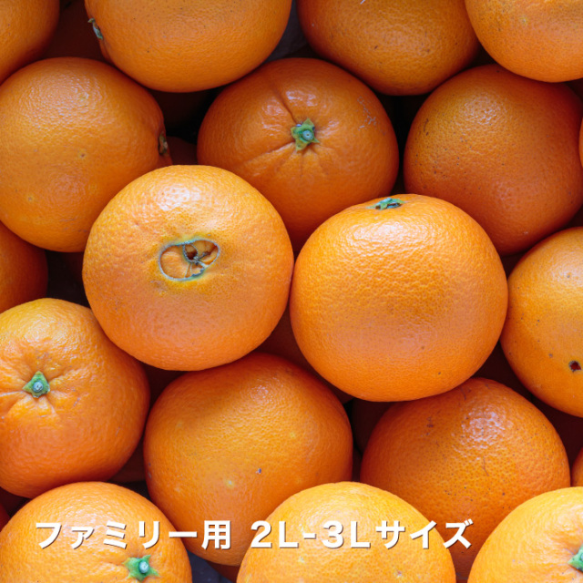 ファミリーネーブルイメージ