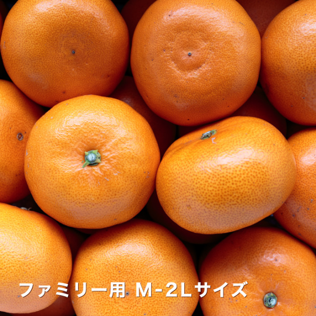 ファミリーイメージ