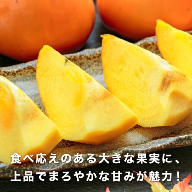 20kg 訳あり　富士柿 当店地元・愛媛県八幡浜市の特産！柿の中でも大玉の富士柿を産地直送で