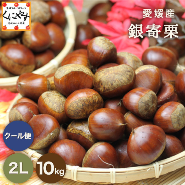 g-gin_10k_2l.jpg?t=20240531155112